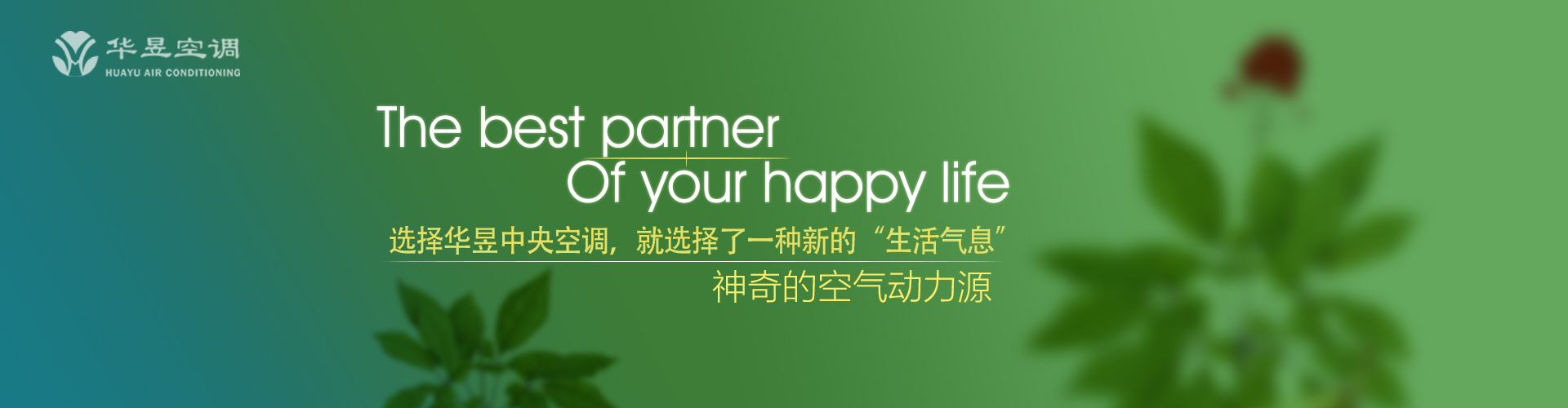过桥抽板网